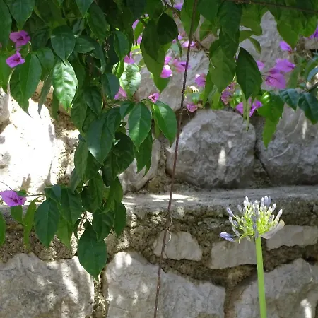 Leonora 2 * Mali Lošinj